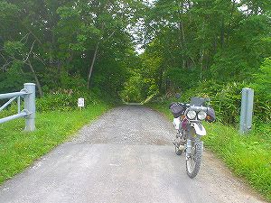 �����X�P�S���V�x�_����6�^ORR