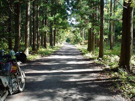 �����Q�W�S���򌤍�����^�ύ�Q