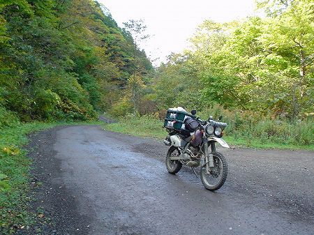 �����Q�W�S���򌤍�����^�ύ�R