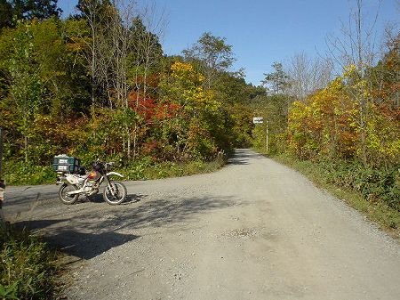 �����Q�W�S���򌤍�����^�ύ�T