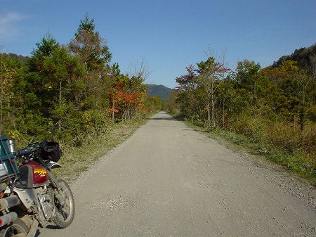 �����Q�W�S���򌤍�����^�ύ�U