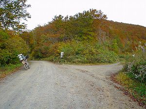 ����123������������