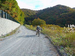 ����123������������