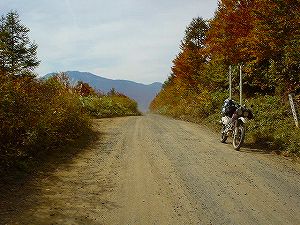 ����242�㕽�X��