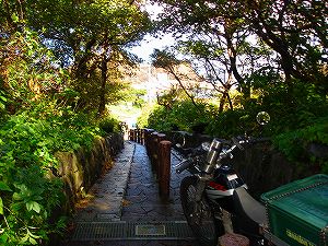 ���ŊK�i����2-4byORR