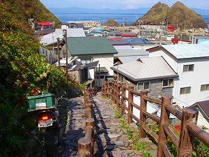 ���ŊK�i����4-5byORR