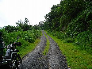 ���䌧���Q�O�R���r�c����2