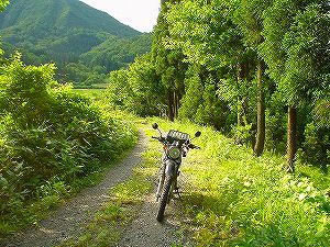 �H�c�����Q�V�X�����֌���2-1�^ORR