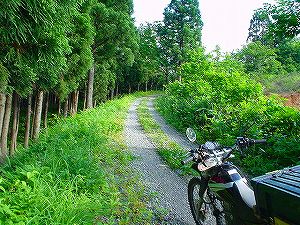 �H�c�����Q�V�X�����֌���2-2�^ORR