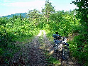 �H�c�����Q�V�X�����֌���2-4�^ORR