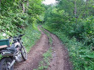 �H�c�����Q�V�X�����֌���2-5�^ORR