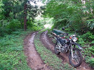 �H�c�����Q�V�X�����֌���2-6�^ORR