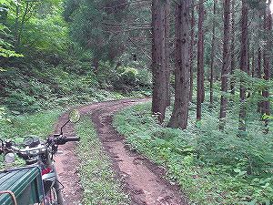 �H�c�����Q�V�X�����֌���2-7�^ORR