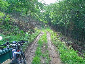 �H�c�����Q�V�X�����֌���3-1�^ORR