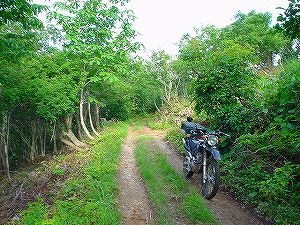 �H�c�����Q�V�X�����֌���3-2�^ORR