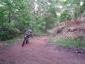 �H�c�����Q�V�X�����֌���3-3�^ORR