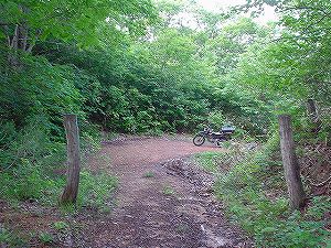 �H�c�����Q�V�X�����֌���3-6�^ORR