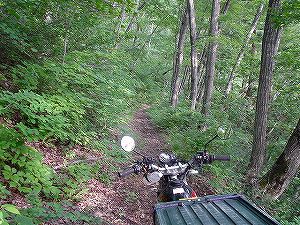 �H�c�����Q�V�X�����֌���3-7�^ORR