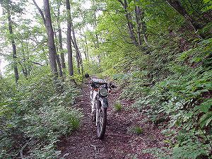 �H�c�����Q�V�X�����֌���4-1�^ORR