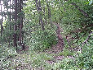 �H�c�����Q�V�X�����֌���4-2�^ORR