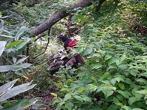 �H�c�����Q�V�X�����֌���4-6�^ORR