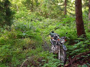 �H�c�����Q�V�X�����֌���5-1�^ORR