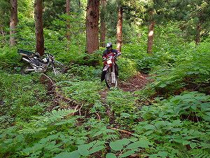 �H�c�����Q�V�X�����֌���5-2�^ORR