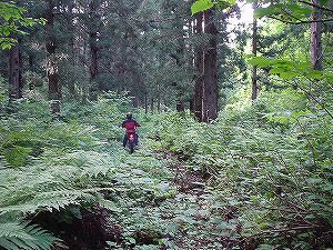 �H�c�����Q�V�X�����֌���5-4�^ORR