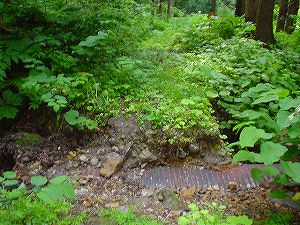 �H�c�����Q�V�X�����֌���5-5�^ORR