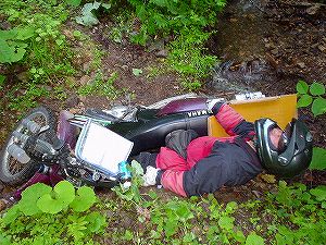 �H�c�����Q�V�X�����֌���6-1�^ORR