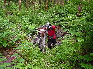 �H�c�����Q�V�X�����֌���6-2�^ORR