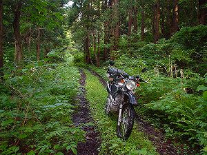 �H�c�����Q�V�X�����֌���6-6�^ORR