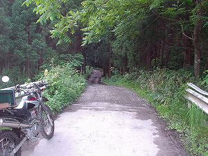 �H�c�����Q�V�X�����֌���7-5�^ORR