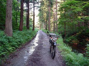 �H�c�����Q�V�X�����֌���7-6�^ORR