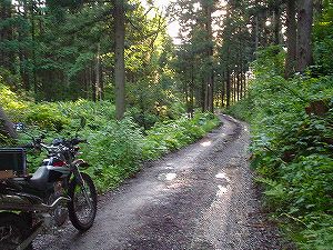 �H�c�����Q�V�X�����֌���7-7�^ORR