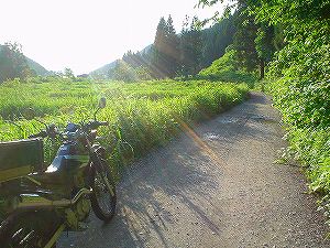 �H�c�����Q�V�X�����֌���8-2�^ORR