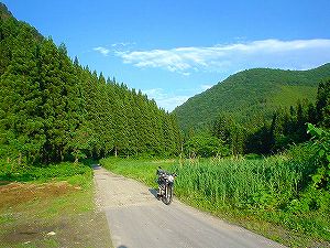 �H�c�����Q�V�X�����֌���8-3�^ORR