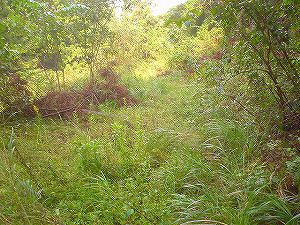 �r����(�R�������Q�W�O������H�F��)3-1�^ORR