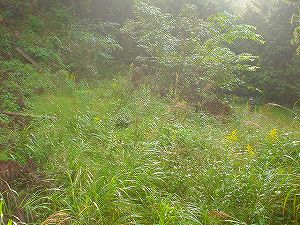 �r����(�R�������Q�W�O������H�F��)3-2�^ORR