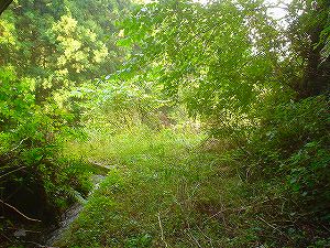 �r����(�R�������Q�W�O������H�F��)3-7�^ORR