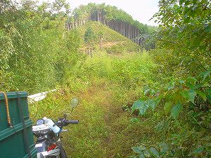 �r����(�R�������Q�W�O������H�F��)4-1�^ORR