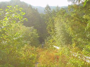 �r����(�R�������Q�W�O������H�F��)4-2�^ORR