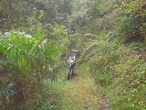 �r����(�R�������Q�W�O������H�F��)4-4�^ORR