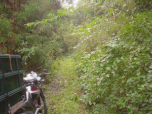 �r����(�R�������Q�W�O������H�F��)4-5�^ORR