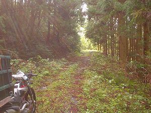 �r����(�R�������Q�W�O������H�F��)4-7�^ORR