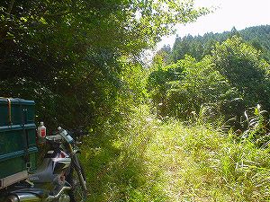 �r����(�R�������Q�W�O������H�F��)5-1�^ORR