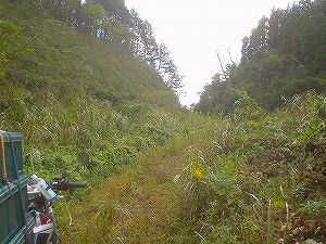 �r����(�R�������Q�W�O������H�F��)5-2�^ORR