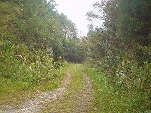 �r����(�R�������Q�W�O������H�F��)5-5�^ORR