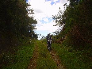 �r����(�R�������Q�W�O������H�F��)5-6�^ORR