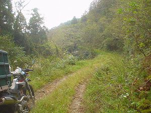 �r����(�R�������Q�W�O������H�F��)6-1�^ORR